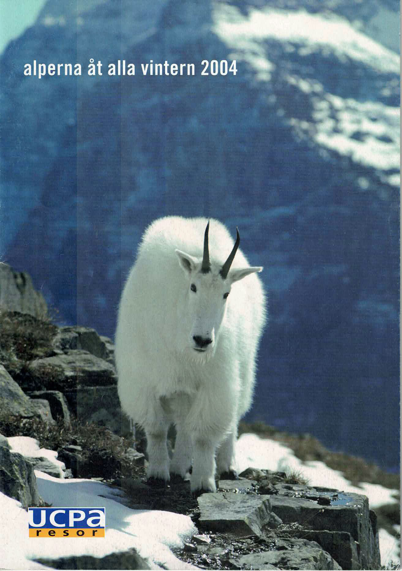 Katalogomslag 2004