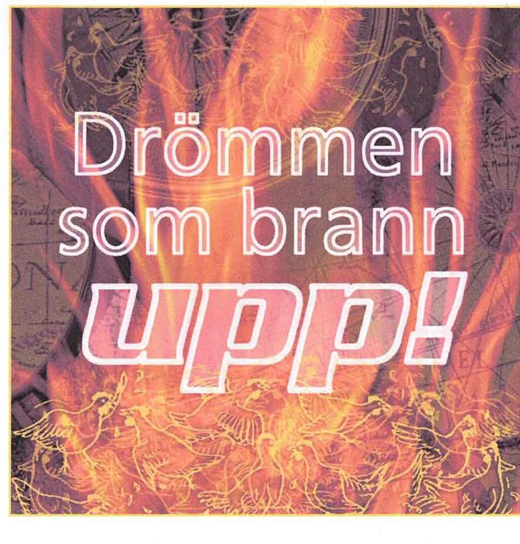Grafik i lågor: Drömmen som brann upp!
